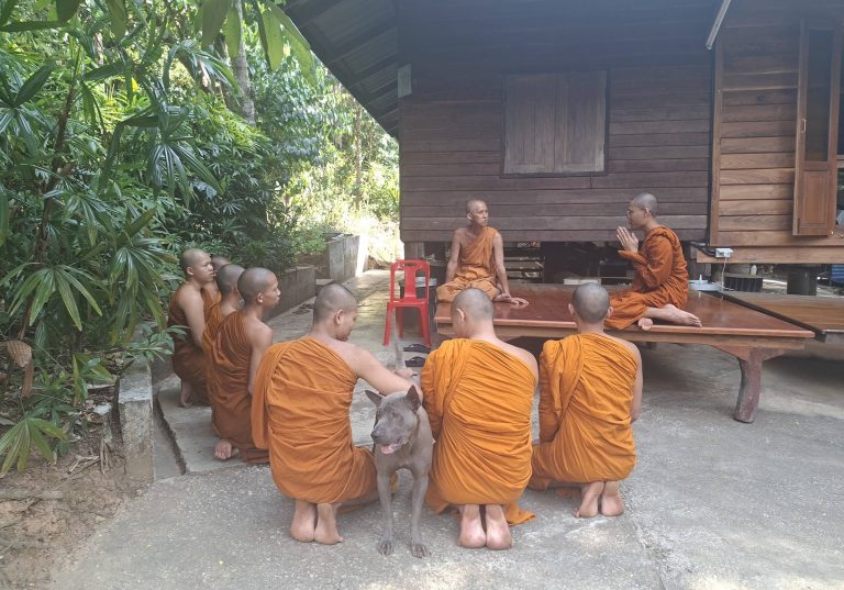 โครงการปฏิบัติศาสนกิจและฝึกข้อวัตรปฏิบัติของสามเณร นักเรียนชั้นมัธยมศึกษาปีที่ 3 และ 6 ประจำปีการศึกษา 2568